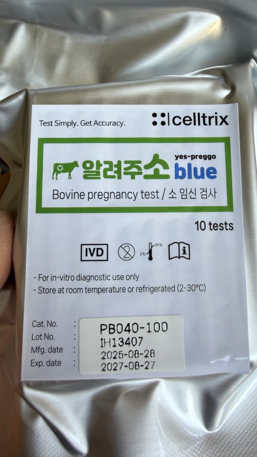 소 임신검사용 알려주소 블루